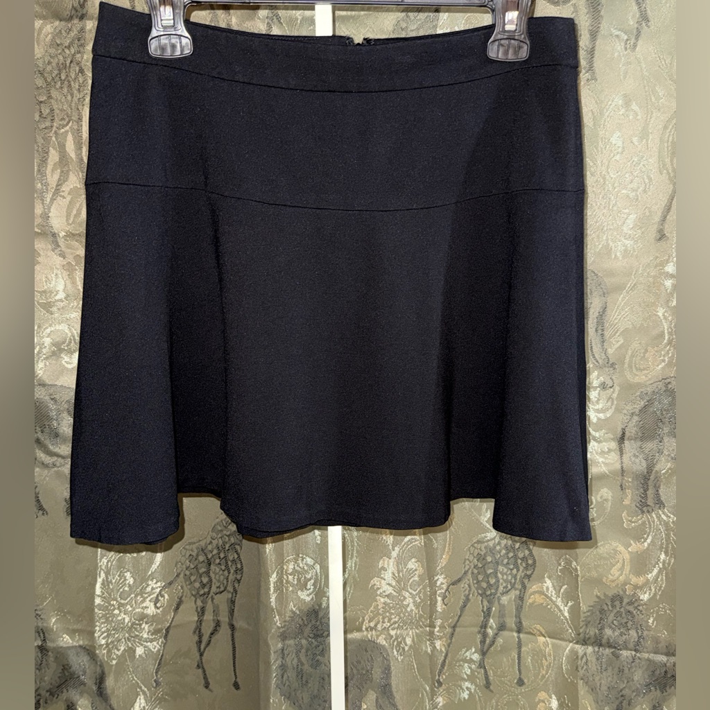 Banana Republic Dark Navy Circle Skirt